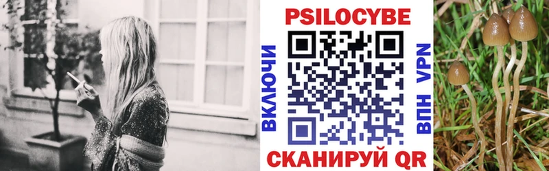 закладки  Энгельс  площадка официальный сайт  Галлюциногенные грибы Psilocybe 